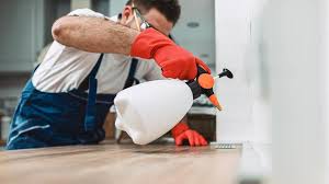 Best Pest Control for Multi-Family Homes  in Sterling Ranch, CO